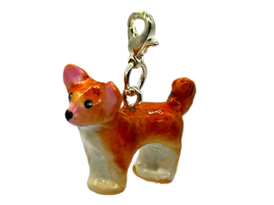Chihuahua Beige