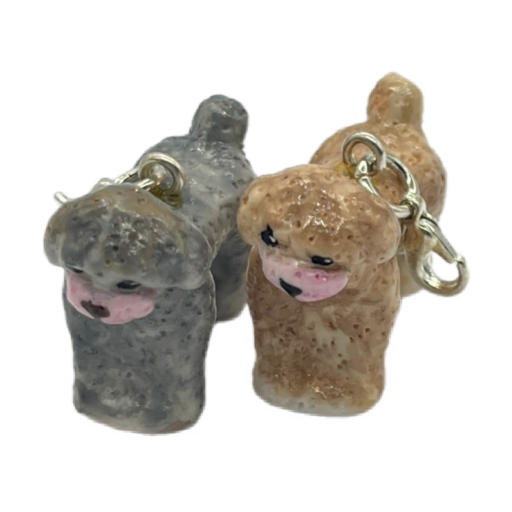 Toy Poodle Gray