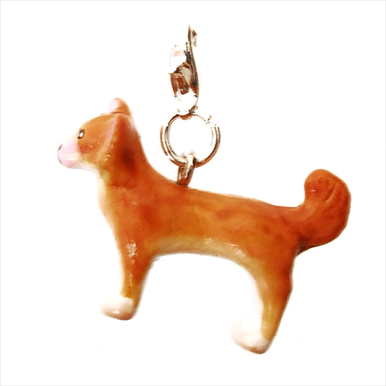 Chihuahua Beige