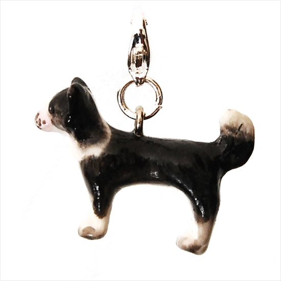 Chihuahua Black