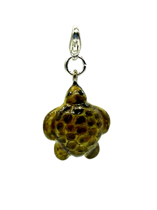 Sea Turtle