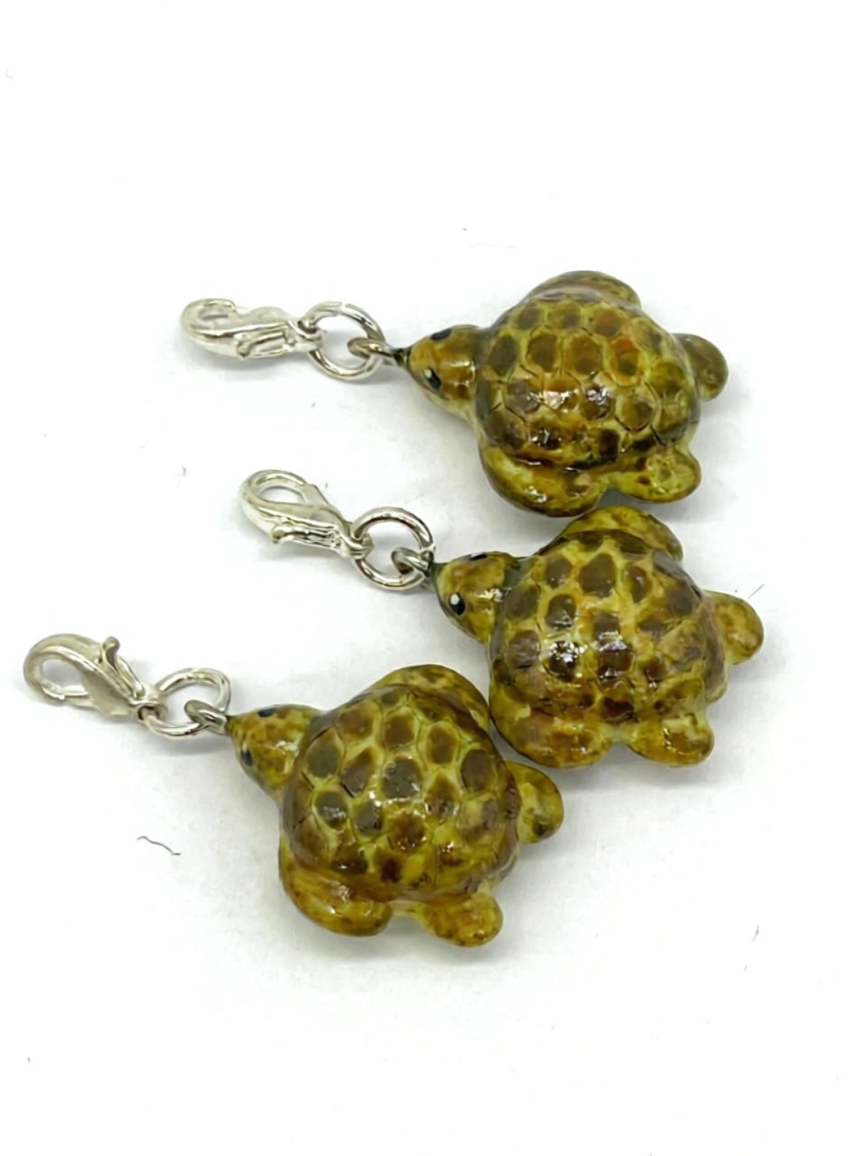 Sea Turtle
