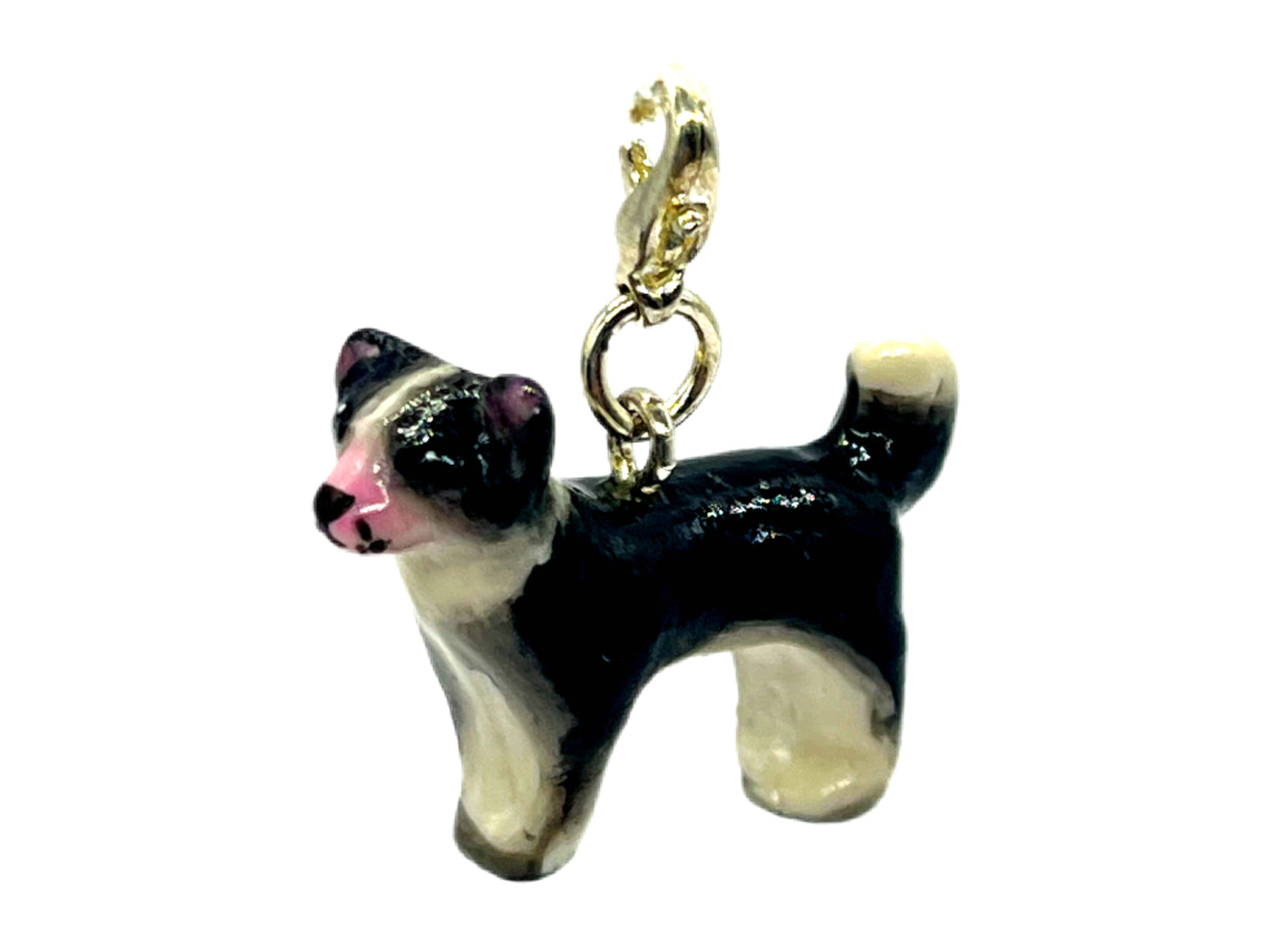 Chihuahua Black