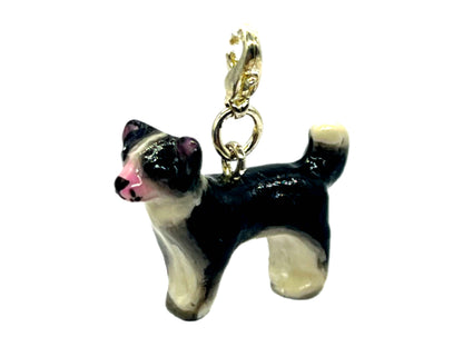 Chihuahua Black