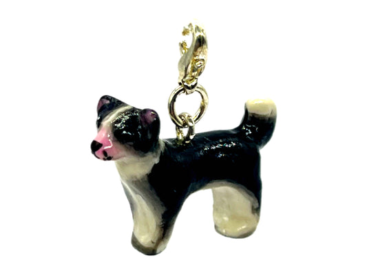 Chihuahua Black