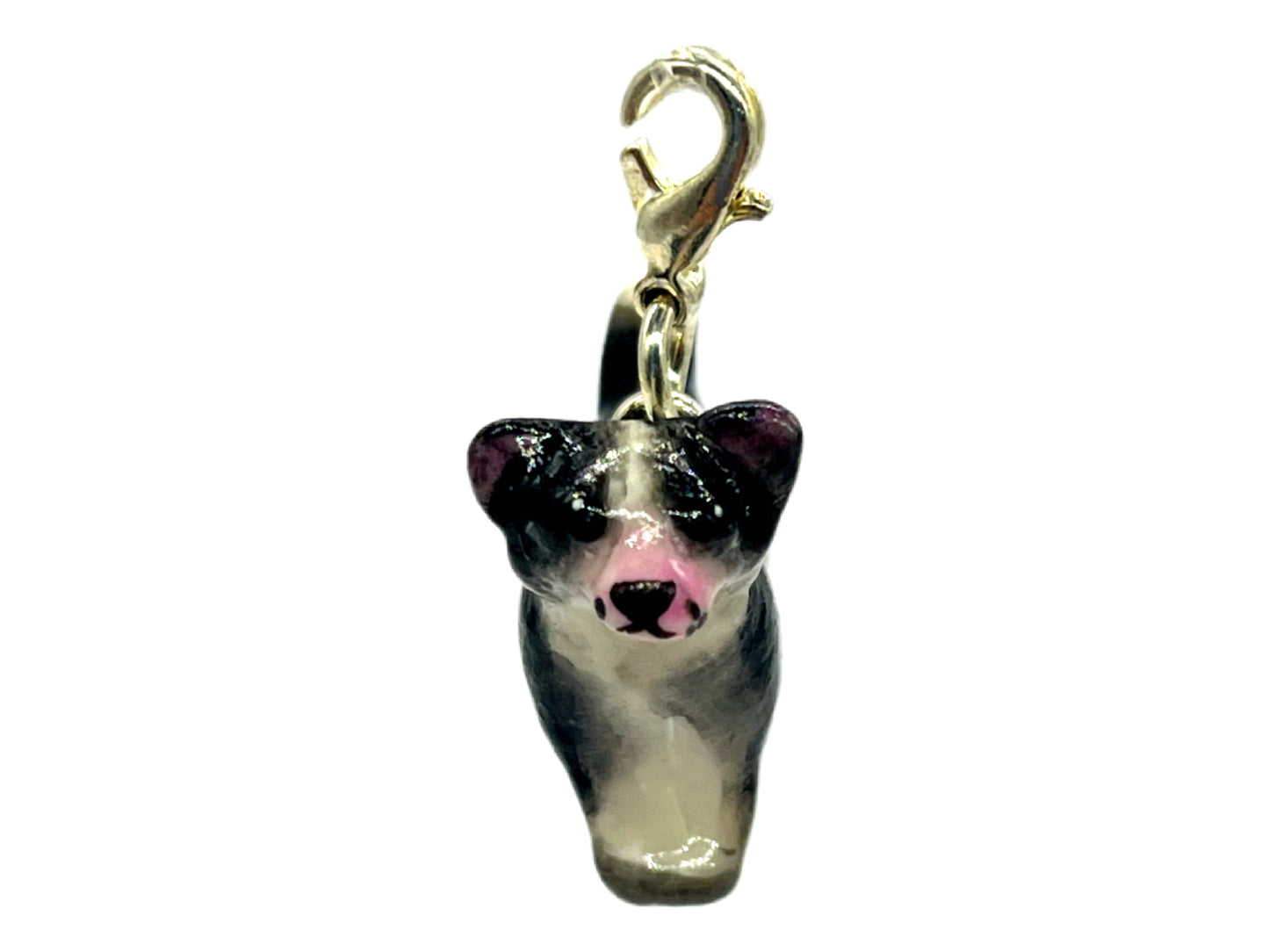 Chihuahua Black