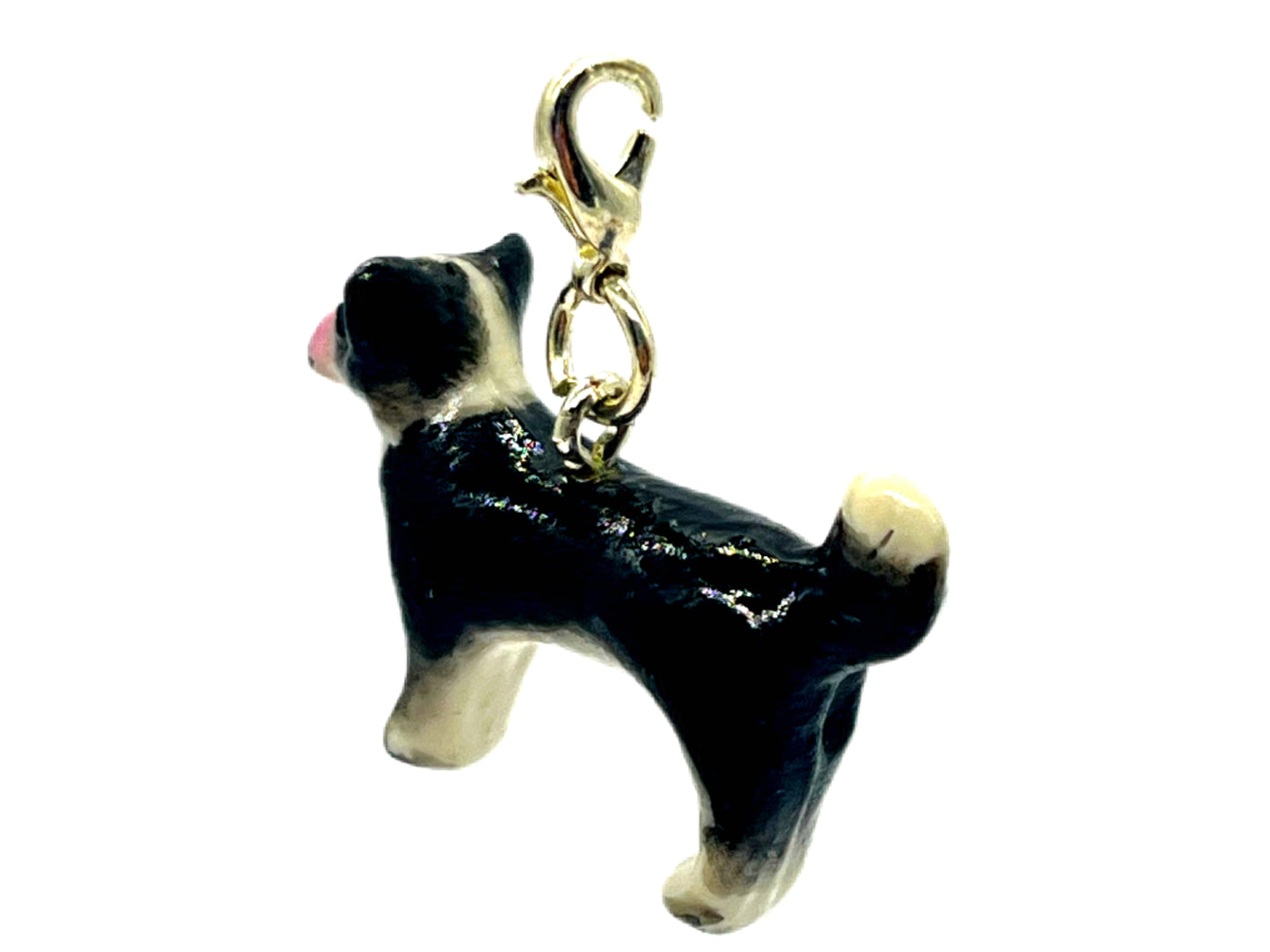 Chihuahua Black