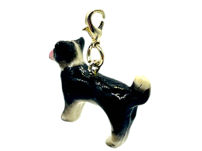 Chihuahua Black