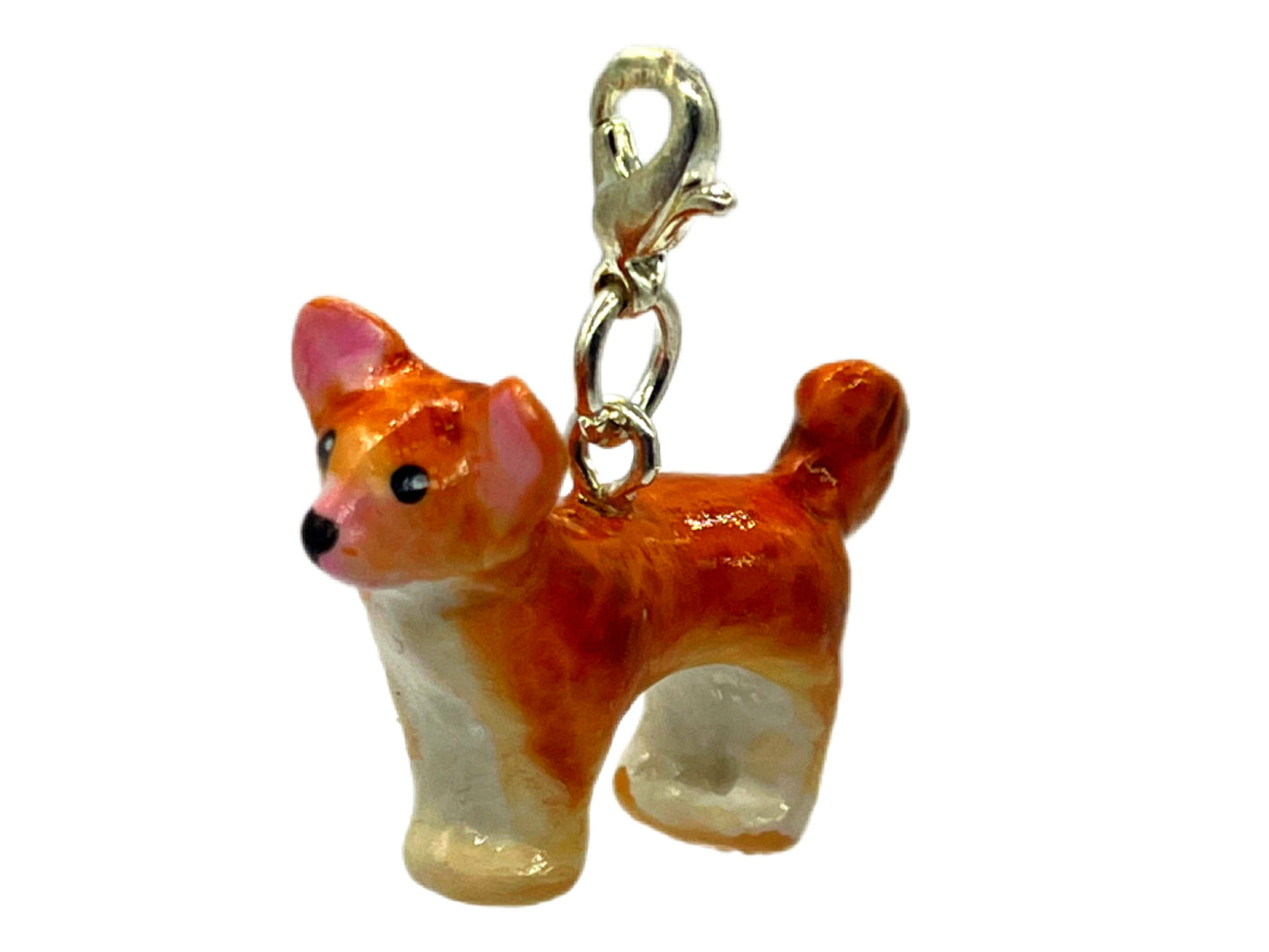 Chihuahua Beige