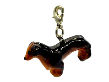 Dachshund