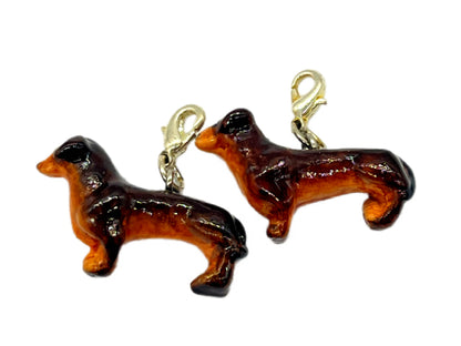 Dachshund