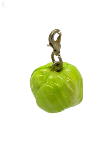 Cabbage