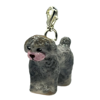 Toy Poodle Gray