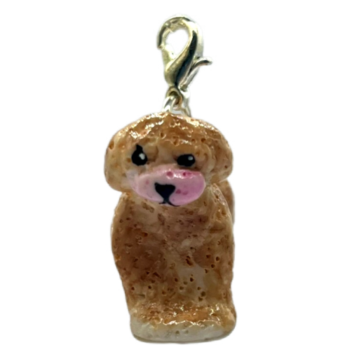 Toy Poodle Beige