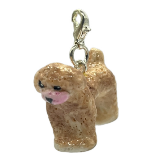 Toy Poodle Beige